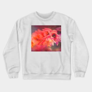 Ixia Dreaming Flowers Crewneck Sweatshirt